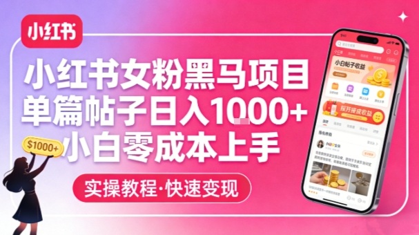 小红书女粉黑马项目，单篇帖子日入1k+，小白零成本上手-小艾项目网