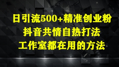 日引流500+精准创业粉，抖音共情自热打法，工作室都在用的方法-小艾项目网