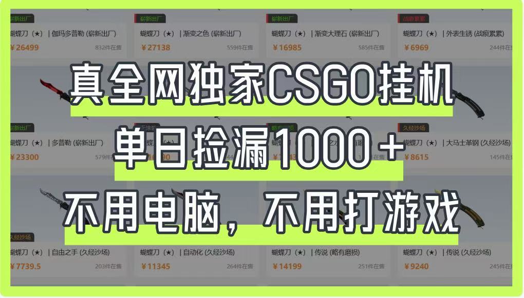 图片[1]-真全网独家CSGO挂机，单日捡漏1000+，不用电脑，不用养号-小艾项目网