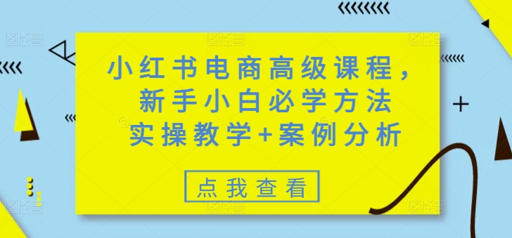 小红书电商高级课程，新手小白必学方法，实操教学+案例分析-小艾项目网