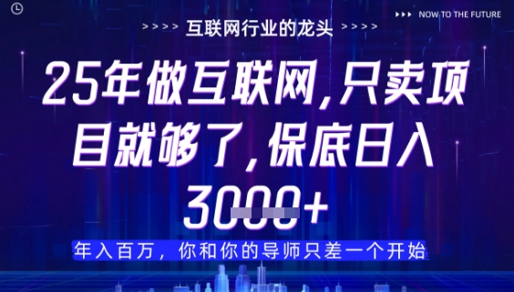 什么！25年你还在找项目做？风口早就变了，卖项目才是稳挣不赔【揭秘】-小艾项目网