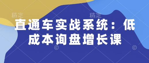 直通车实战系统：低成本询盘增长课，让个人通过技能实现升职加薪，让企业低成本获客，订单源源不断-小艾项目网