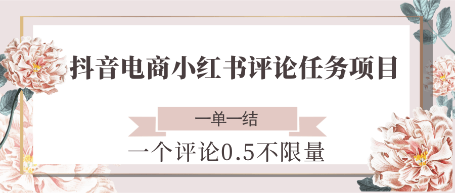 抖音电商小红书评论任务项目，一个评论0.5，一单一结 不限量-小艾项目网