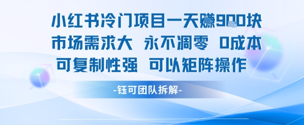小红书冷门项目一天收益9张，市场需求大，0成本，可复制性强可以矩阵操作-小艾项目网