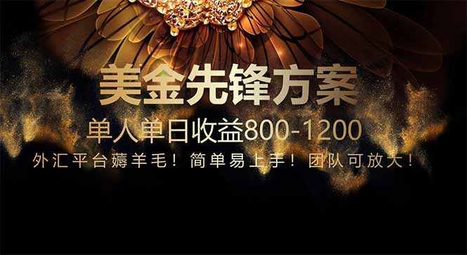 免费技术！小众赛道！一年布局抵三年努力，每日800+-小艾项目网