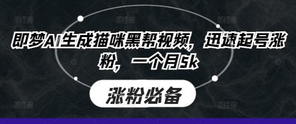 即梦AI生成猫咪黑帮视频，迅速起号涨粉，一个月5k-小艾项目网