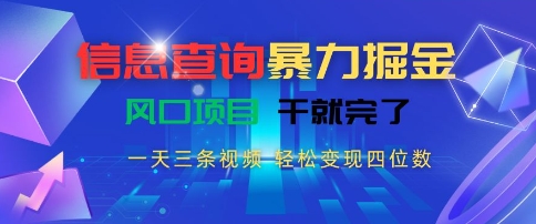 信息查询暴力掘金，一天三条视频，轻松变现四位数，风口项目干就完了【揭秘】-小艾项目网