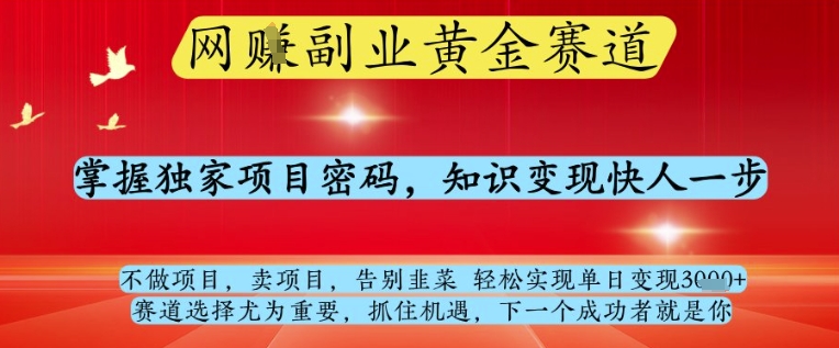网创副业黄全赛道，掌握独家项目密码，知识变现快人一步，告别韭菜轻松实现单日变现1k+【揭秘】-小艾项目网