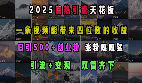 2025自热引流天花板，一条视频能带来四位数的收益，引流+变现双管齐下，日引500+创业粉，涨粉嘎嘎猛-小艾项目网