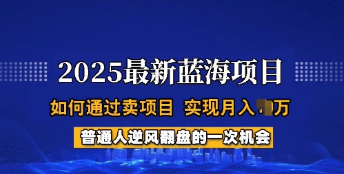 2025蓝海项目,普通人如何通过卖项目,实现月入过W,全过程【揭秘】