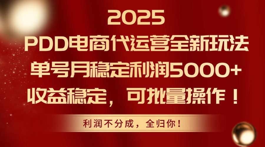 2025PDD电商代运营全新玩法，单号月稳定利润5000+，收益稳定，可批量操作-小艾项目网