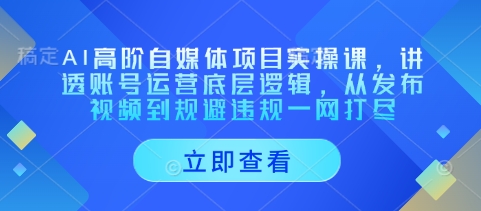 AI高阶自媒体项目实操课，讲透账号运营底层逻辑，从发布视频到规避违规一网打尽-小艾项目网