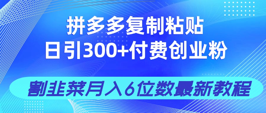 拼多多复制粘贴日引300+付费创业粉，割韭菜月入6位数最新教程！-小艾项目网