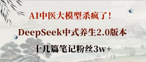 AI中医大模型杀疯了！DeepSeek中式养生2.0版本，十几篇笔记粉丝3w+-小艾项目网