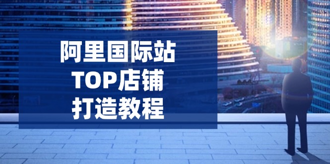 阿里国际站TOP店铺打造教程：涵盖平台到高阶，解决运营难题，提升询盘-小艾项目网