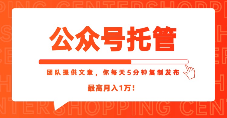 【公众号托管 】我提供文章，你每天５分钟复制发布，最高月入1W-小艾项目网