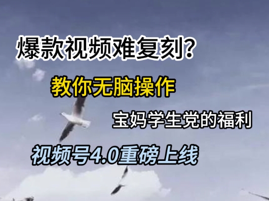 视频号4.0重磅上线，爆款视频难复刻？教你无脑操作宝妈学生党的福利【揭秘】-小艾项目网