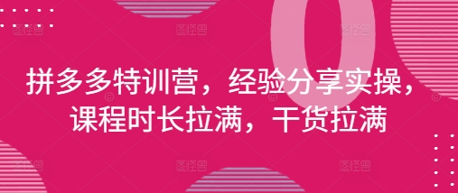 拼多多特训营，经验分享实操，课程时长拉满，干货拉满(更新25年4月)-小艾项目网