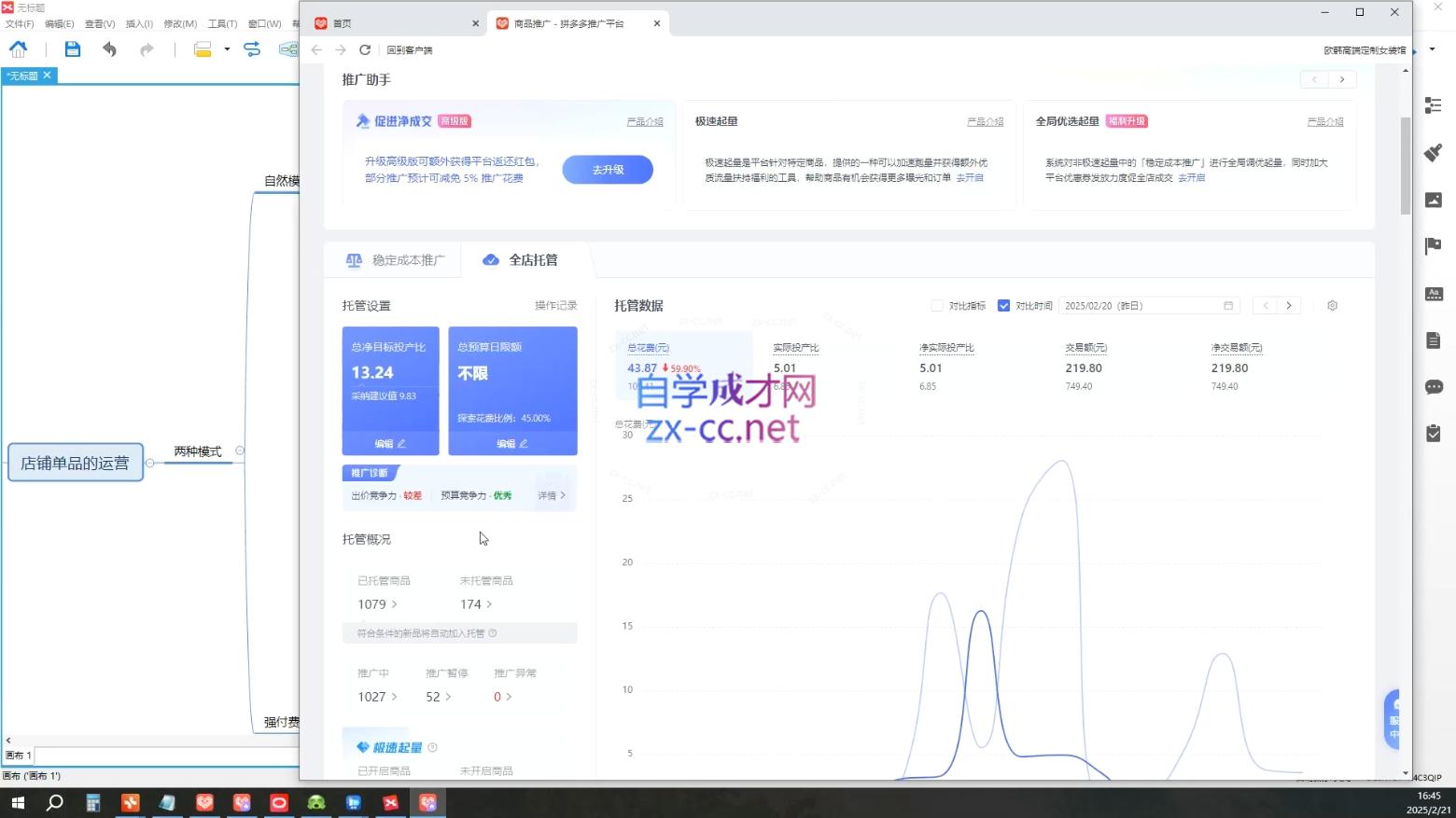 齐论拼多多vip课程-小艾项目网