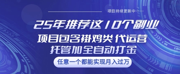 25年推荐这10个副业项目包含褂鸡类、代运营托管类、全自动打金类【揭秘】-小艾项目网