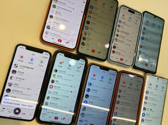 首发揭秘小红书私域日引500+创业粉四大模板，月入过W+全程干货!没有废话!保姆教程!-小艾项目网