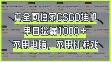 真全网独家CSGO挂G，单日捡漏1k+【揭秘】-小艾项目网