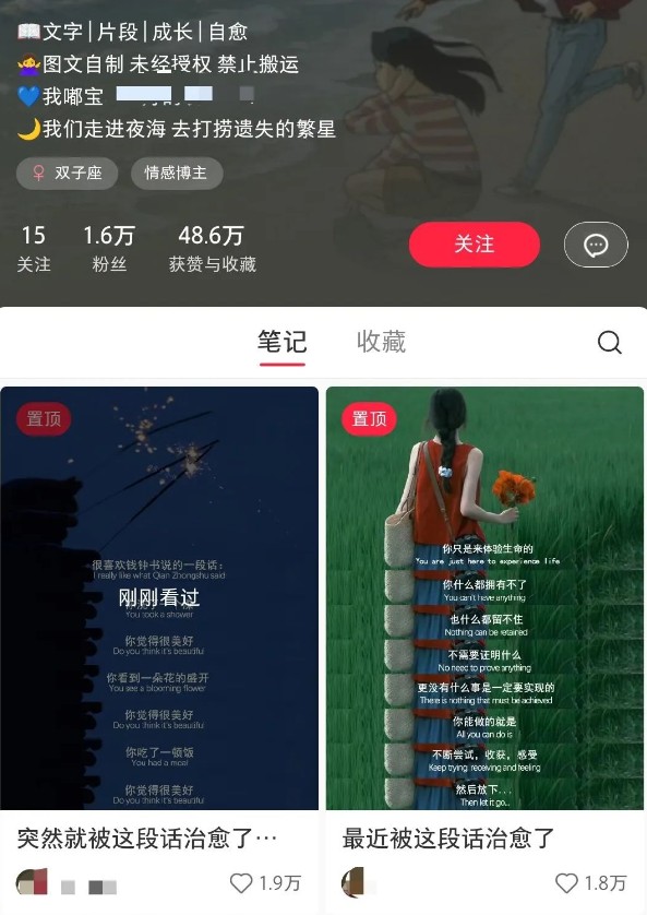 小红书治愈文案图文笔记，零门槛，一分钟制作轻松制作爆款作品月入万元-小艾项目网