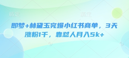 即梦+林黛玉完爆小红书商单，3天涨粉1千，靠怼人月入5k+-小艾项目网