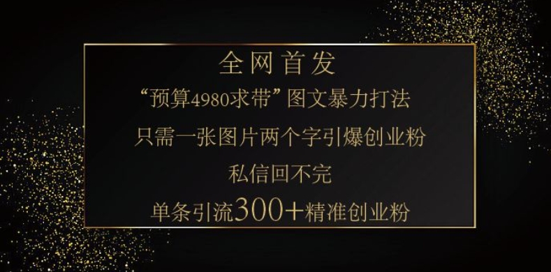 小红书神奇图片引流法，只需一张图，就能单条笔记凭借此方法，轻松引流 300 + 精准创业粉-小艾项目网
