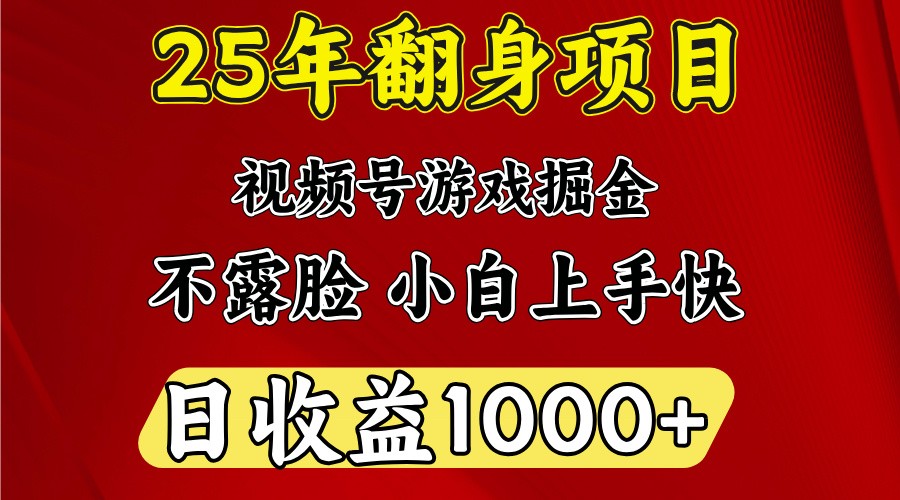 一天收益1000+ 25年开年落地好项目-小艾项目网