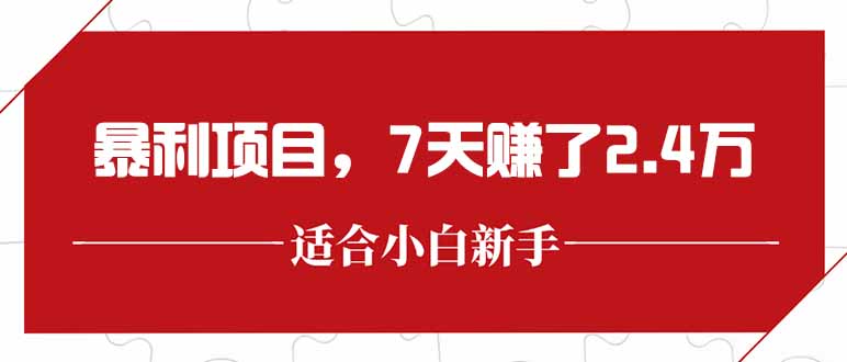 最新暴利项目，每单收益轻松在300以上，7天赚了2.4万-小艾项目网