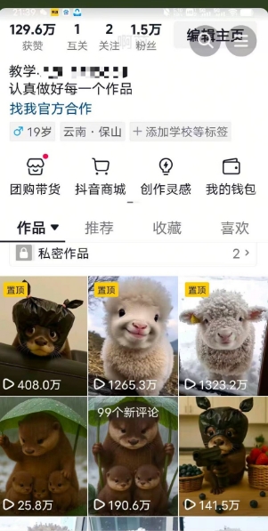 抖音65W博主AI萌宠课程，新赛道流量大，原创+二创，全套课程+提示词-小艾项目网