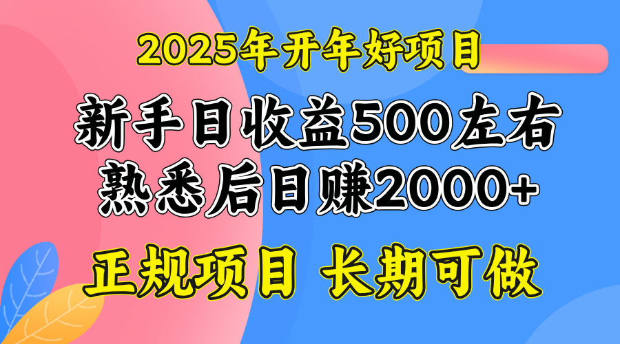 2025开年好项目，单号日收益2000左右-小艾项目网