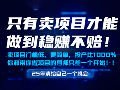 只有卖项目才能做到稳挣不赔，门槛低，更简单，你也可以年入百个W【揭秘】-小艾项目网