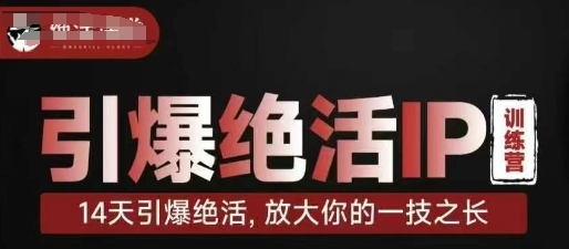 引爆绝活IP训练营，14天引爆绝活，放大你的一技之长-小艾项目网