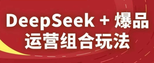 DeepSeek+爆品运营组合玩法，2025淘系精品课-小艾项目网