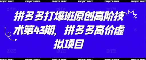 拼多多打爆班原创高阶技术第43期，拼多多高价虚拟项目-小艾项目网