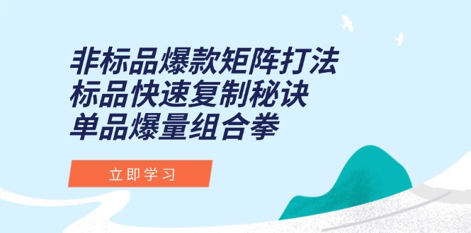 非标品爆款矩阵打法，标品快速复制秘诀，单品爆量组合拳-小艾项目网