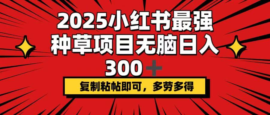 2025小红书最强种草项目，无脑日入300+，复制粘帖即可，多劳多得-小艾项目网