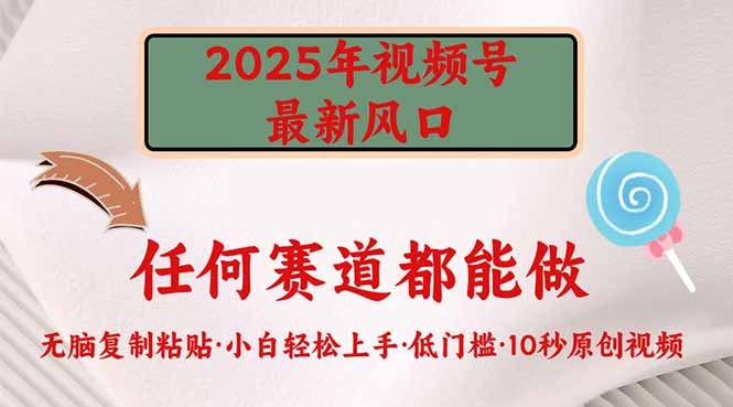 2025年视频号新风口，低门槛只需要无脑执行-小艾项目网