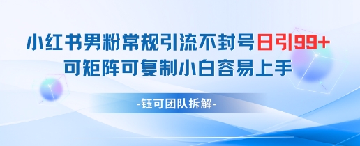 小红书男粉常规引流不封号日引99+变现简单 可矩阵可复制小白容易上手-小艾项目网