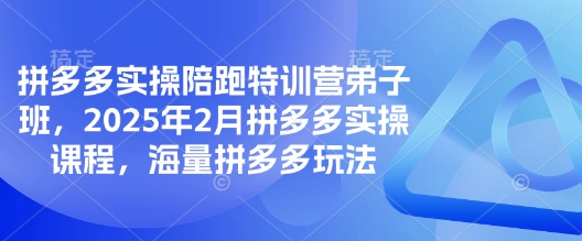 拼多多实操陪跑特训营弟子班，2025年2月拼多多实操课程，海量拼多多玩法-小艾项目网