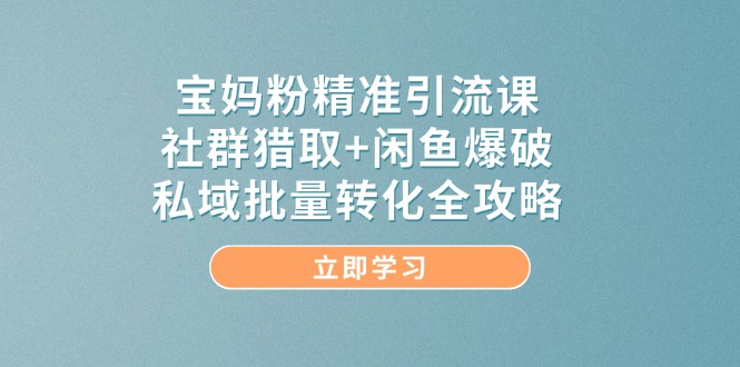 宝妈粉精准引流课，社群猎取+闲鱼爆破，私域批量转化全攻略-小艾项目网
