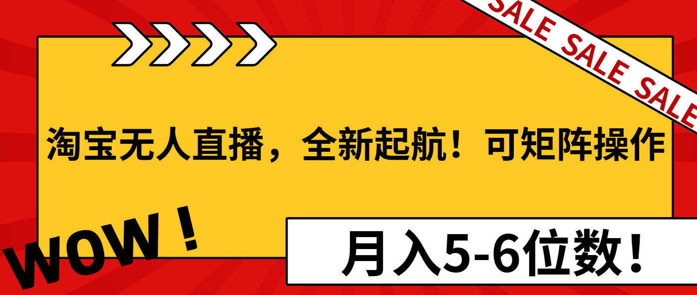 淘宝无人直播，全新起航！可矩阵操作，月入5-6位数！-小艾项目网