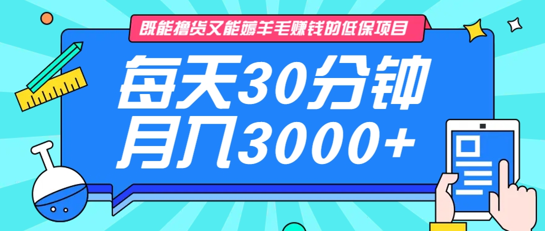 既能撸货又能赚钱的长期低保项目，每天30分钟，多号百分百稳定月入3000+！-小艾项目网