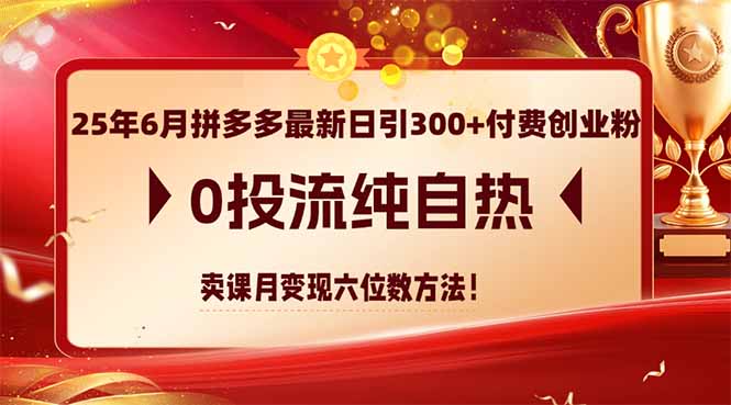 25年6月拼多多最新日引300+付费创业粉，0投流纯自热 卖课月变现六位数方法-小艾项目网
