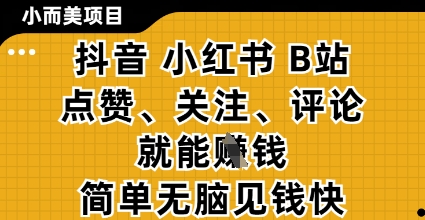小而美的项目，抖音小红书B站视频点赞、关注、评论就能挣钱，简单无脑立见收益，妥妥的零撸项目【揭秘】-小艾项目网