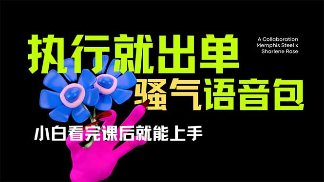 爆火全网的开车导航骚气语音包,只要执行就出单，小白看完课程就能实操…-小艾项目网