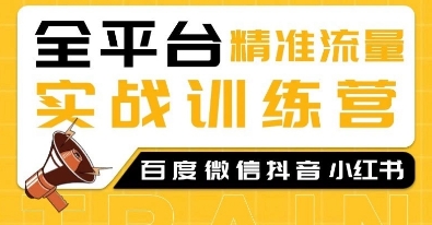 全平台精准流量实战训练营，百度微信抖音小红书SEO引流教程