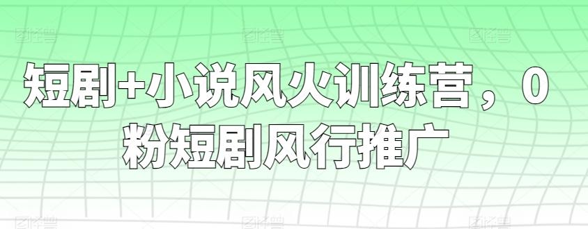 短剧+小说风火训练营，0粉短剧风行推广-小艾项目网